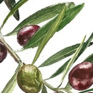 Profile photo of Nina